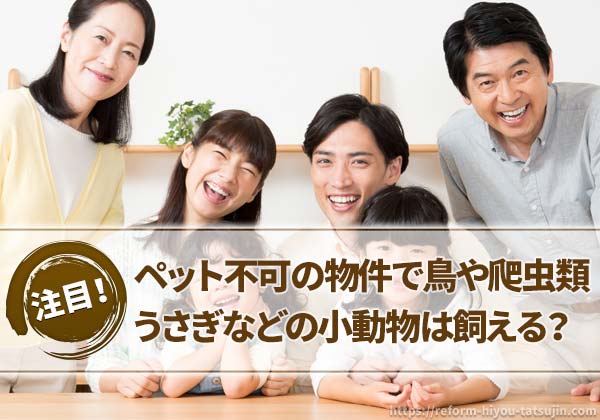 ペット不可物件で鳥や爬虫類などの小動物は飼える?